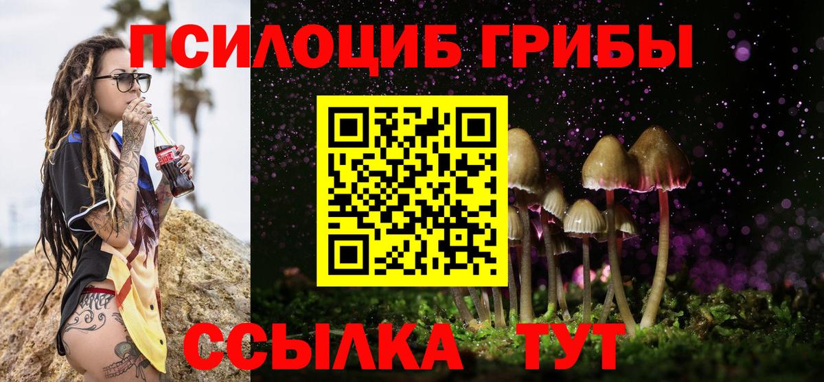 Псилоцибиновые грибы Magic Shrooms Мурманск