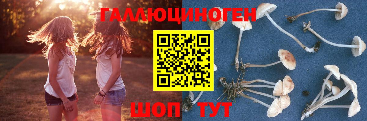 Мефедрон кристаллы  COCAIN  Экстази  МЕТАДОН  Бошки Шишки  Гашиш  Мурманск  Вход с VPN  A PVP СК  